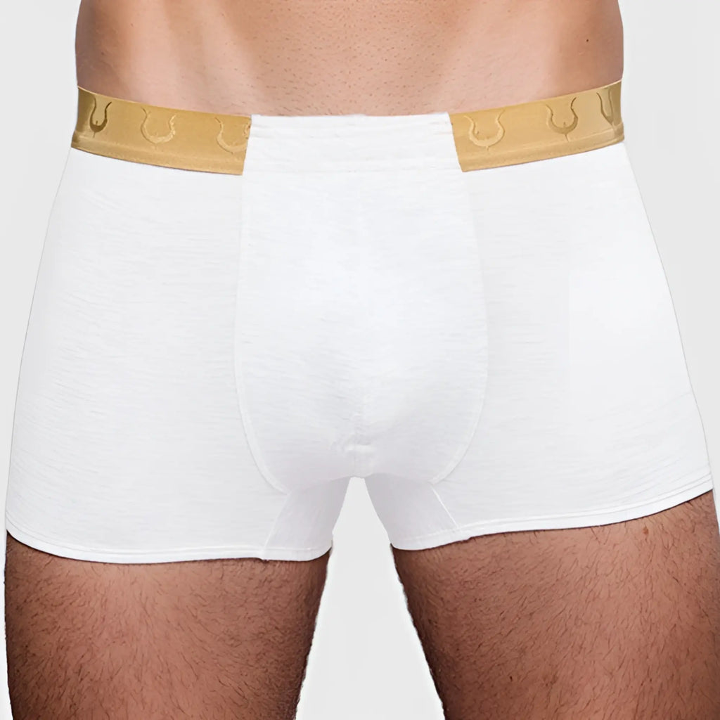 White boxer briefs tartarus monaco trunk with gold waistband featuring repeating horseshoe pattern