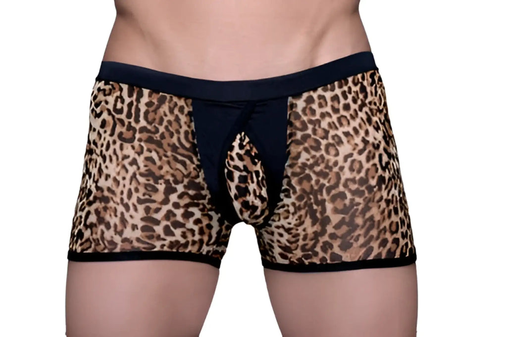 Tartarus peakaboo trunk leopard print mesh briefs with black elastic waistband and leg openings front view