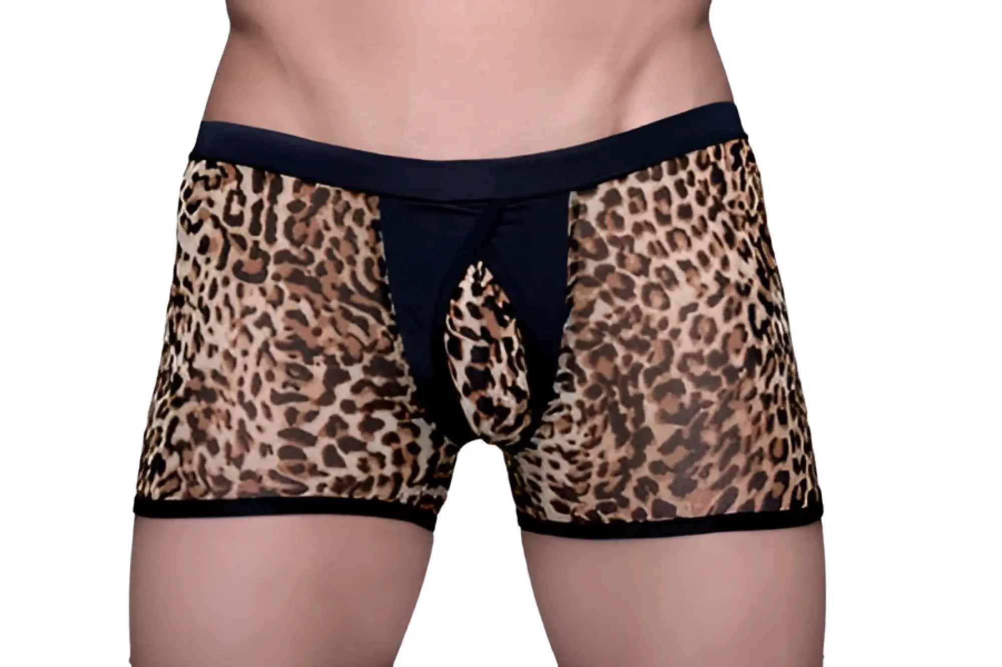 Tartarus peakaboo trunk leopard print mesh briefs with black elastic waistband and leg openings front view