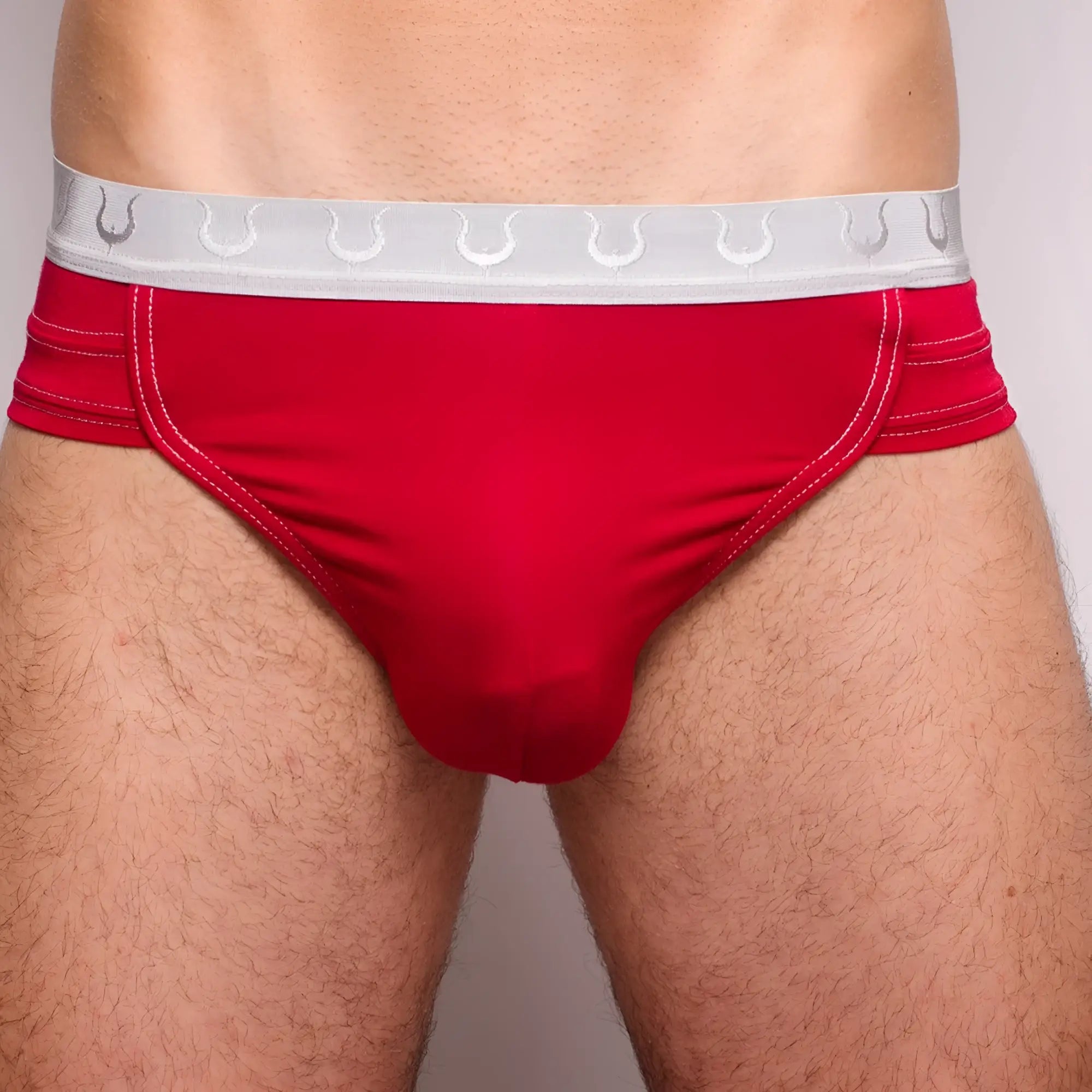 Red men’s briefs tartarus rio brief with white elastic waistband and silver horseshoe logos