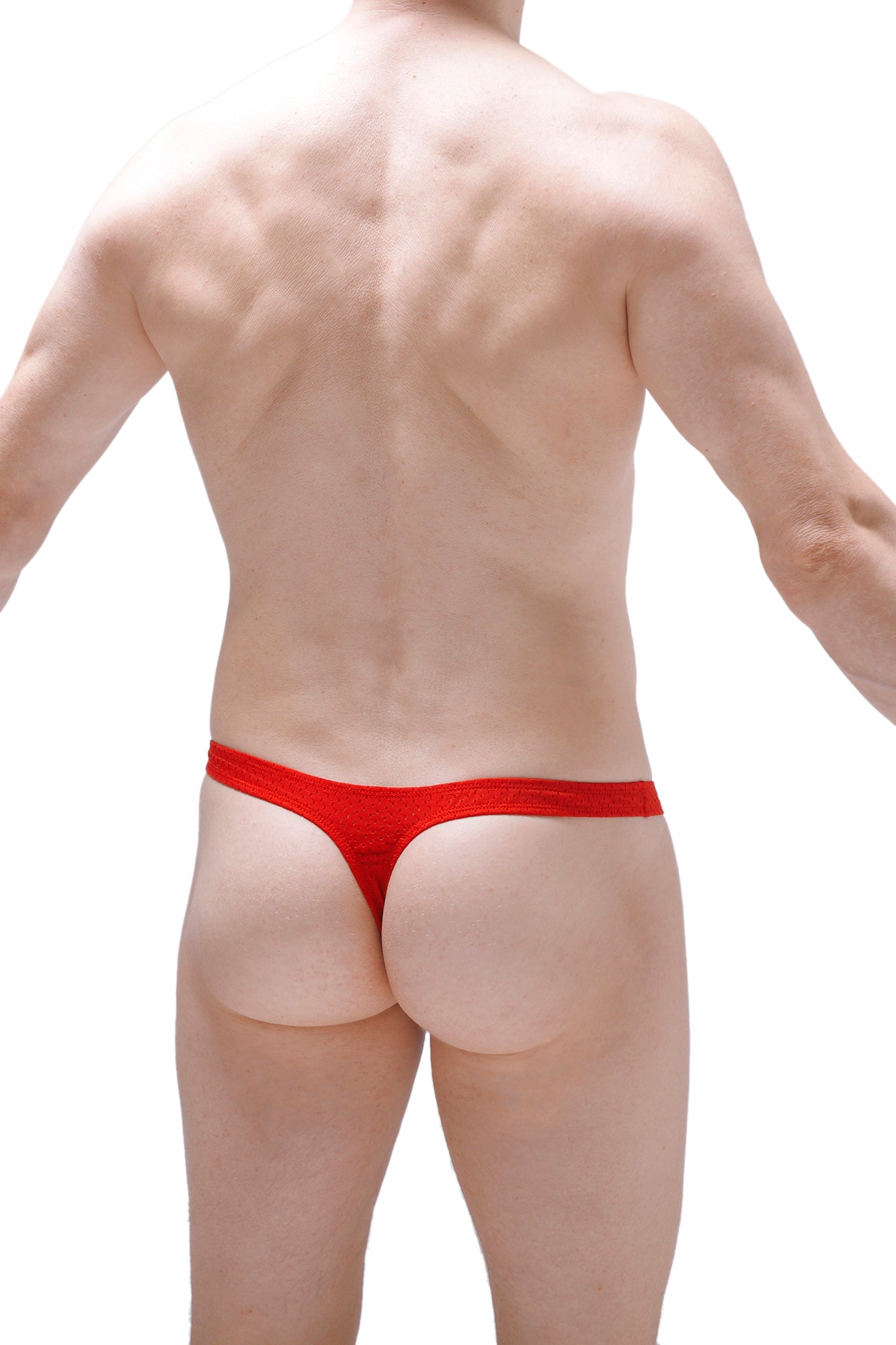 Tanga Lasso Cockring Bee Red