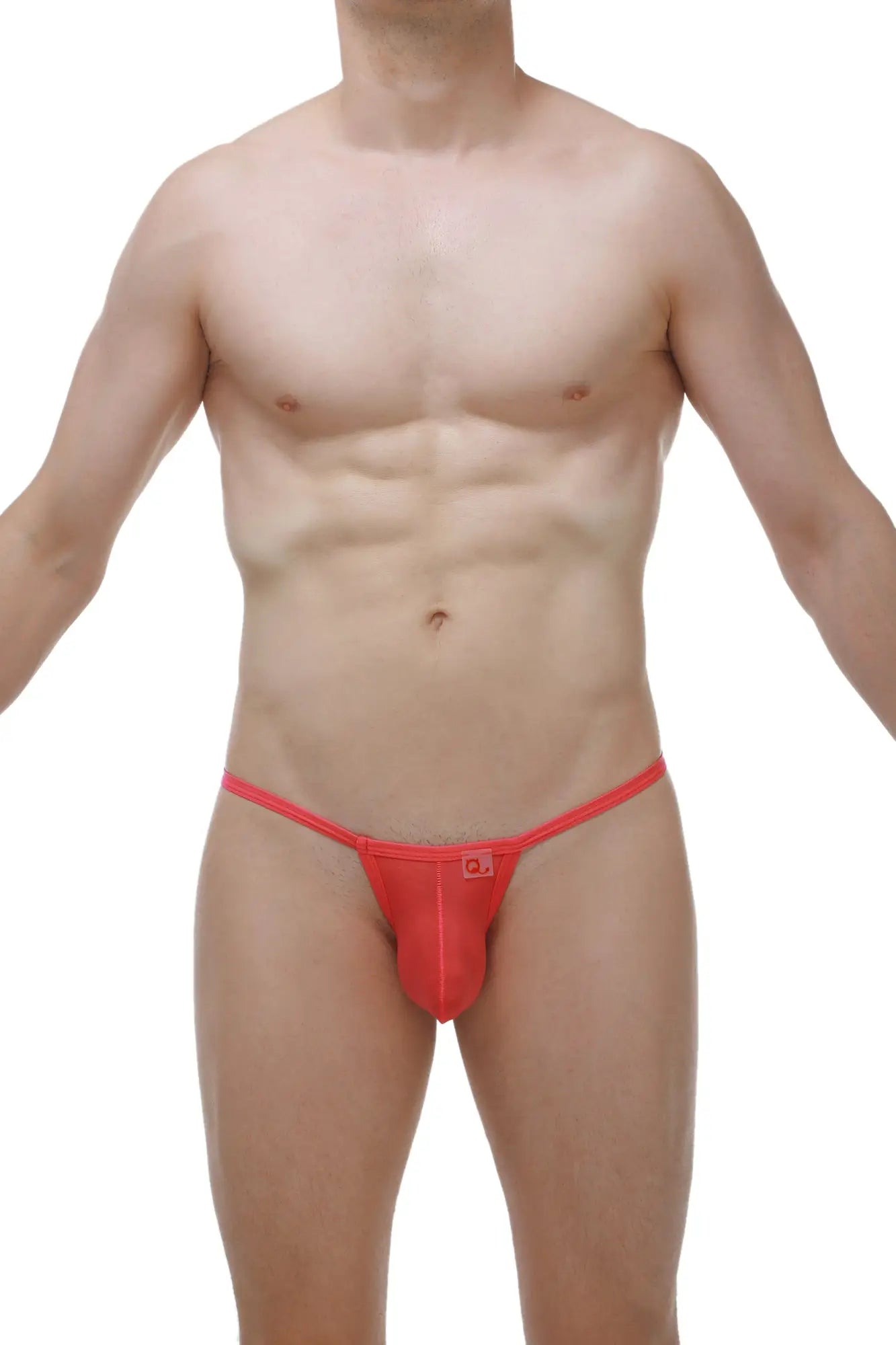 Bright red sheer mesh thong with a small logo on the front from the thong Migny Plum Crimson collection