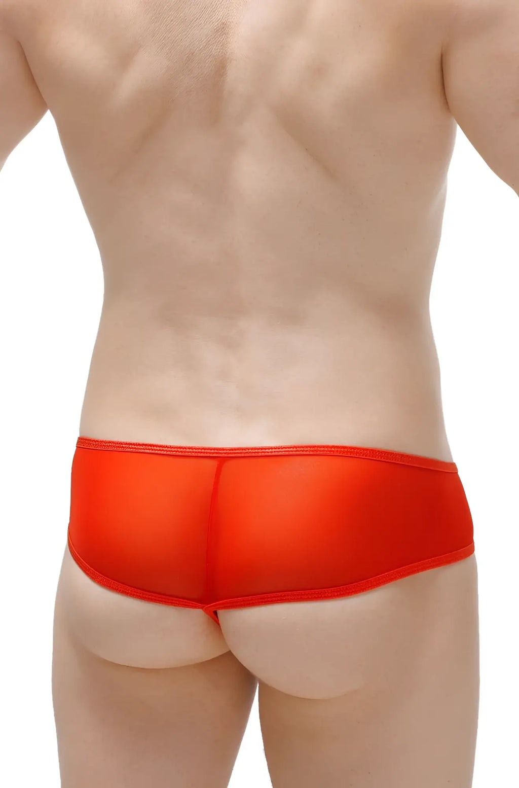 Bright red thong toga net sheer mesh briefs with smooth elastic waistband for comfortable wear