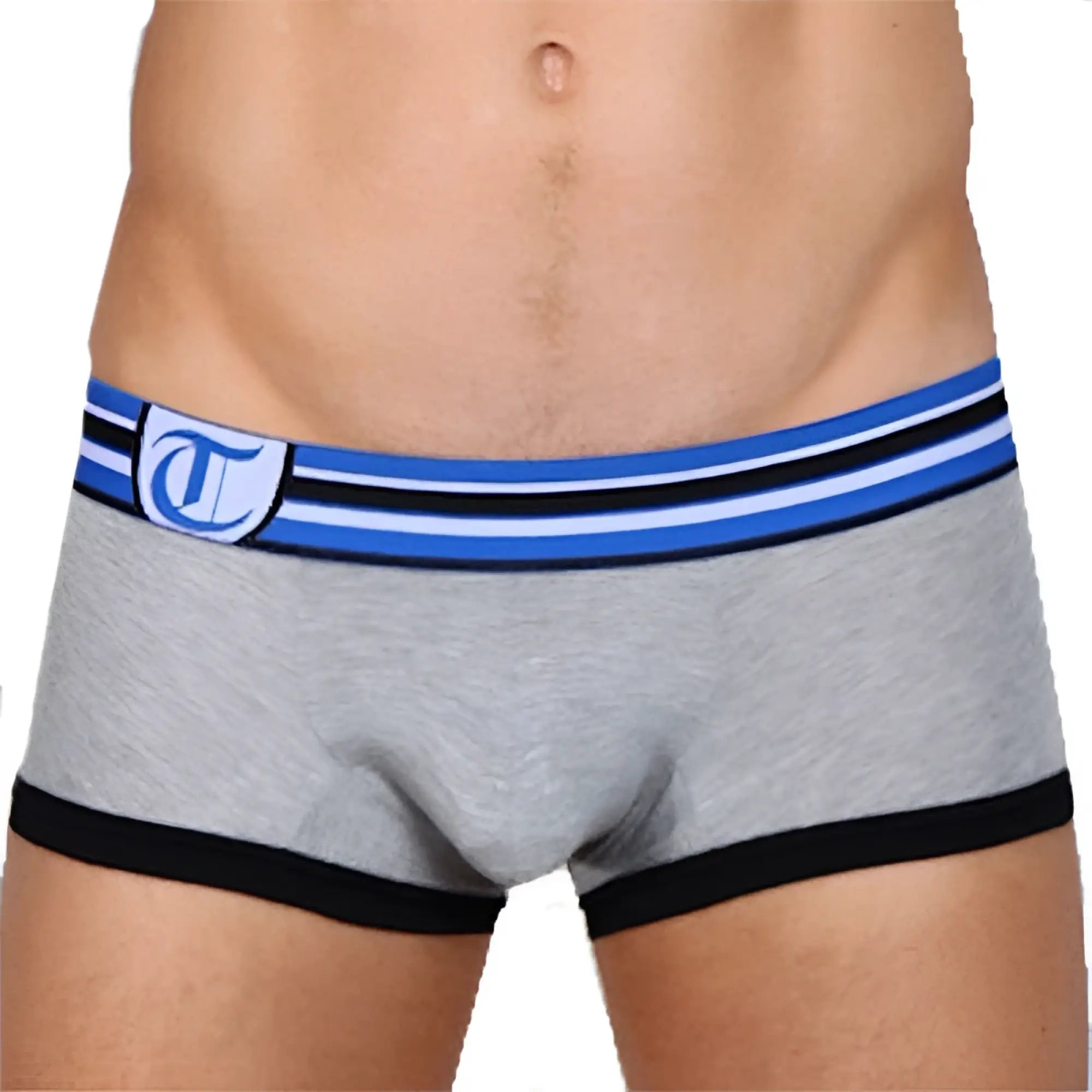 Timoteo hero scout boxer brief underwear grey heathered with blue black striped waistband and white shield logo size xl