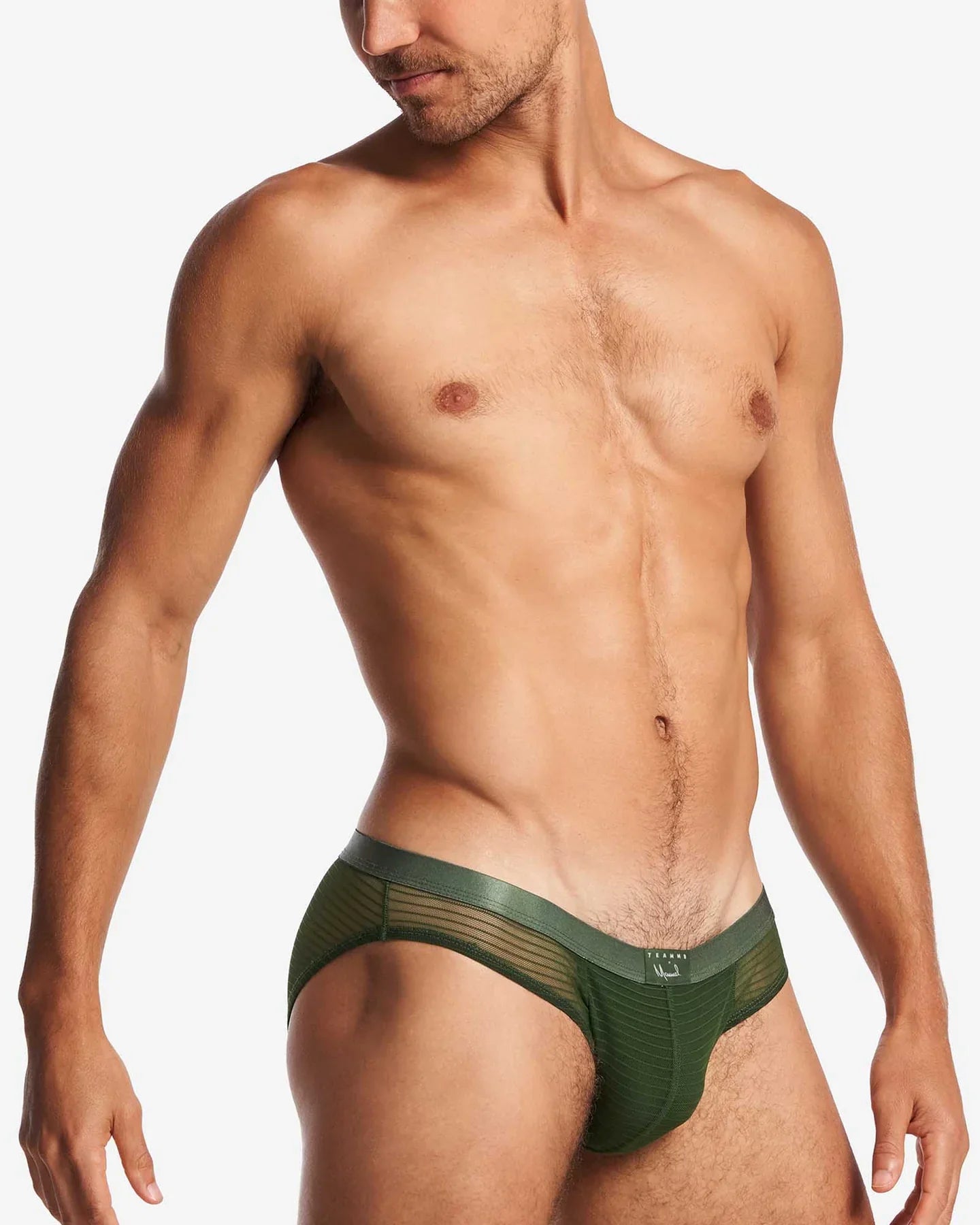 MANUEL SHEER BIKINI BRIEF