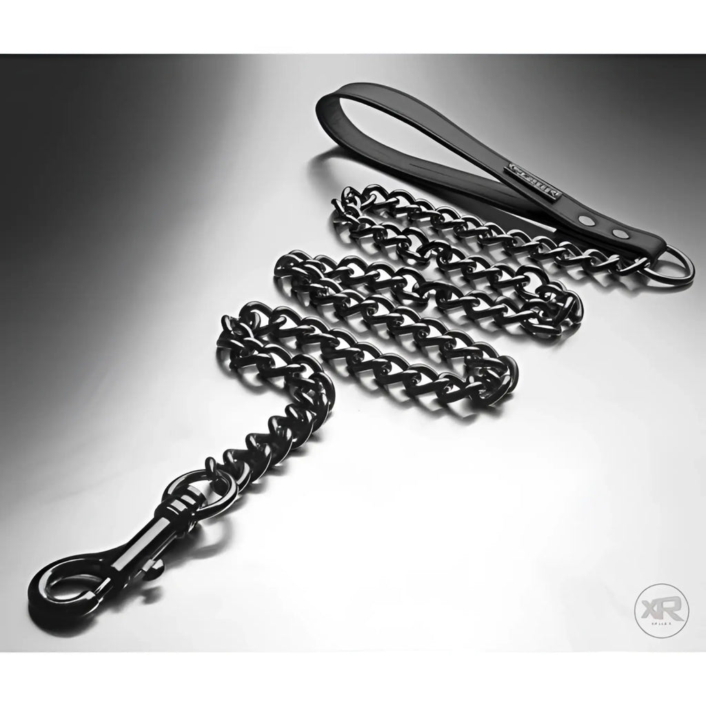 Tom of Finland leash featuring a black metal chain, a leather loop handle with branding, and a secure snap hook.