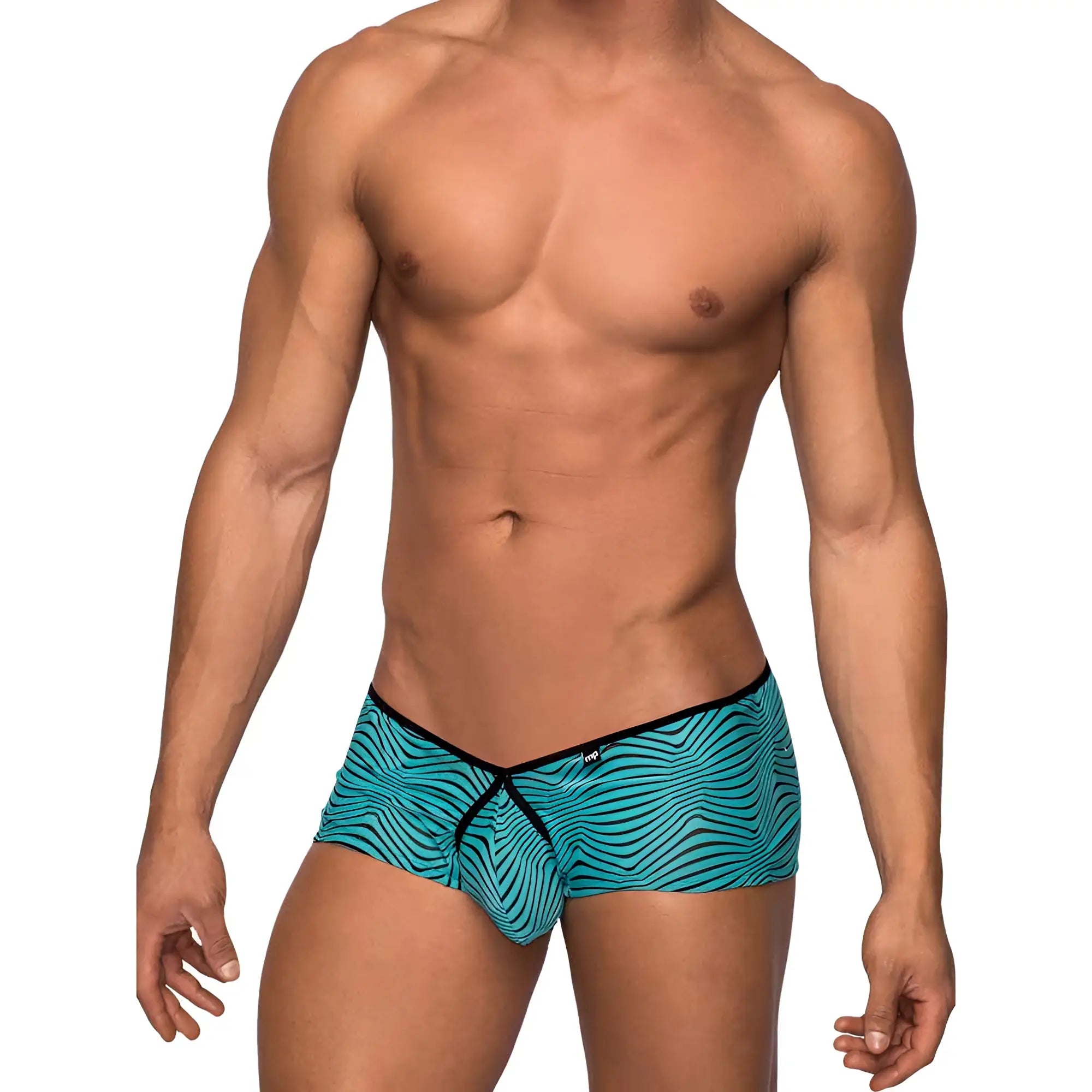 Teal and black zebra-striped men’s briefs with black elastic waistband micro mini short seafoam black medium