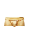 Gold metallic briefs trunk taik joe gold with smooth shiny fabric and small red logo on waistband front view