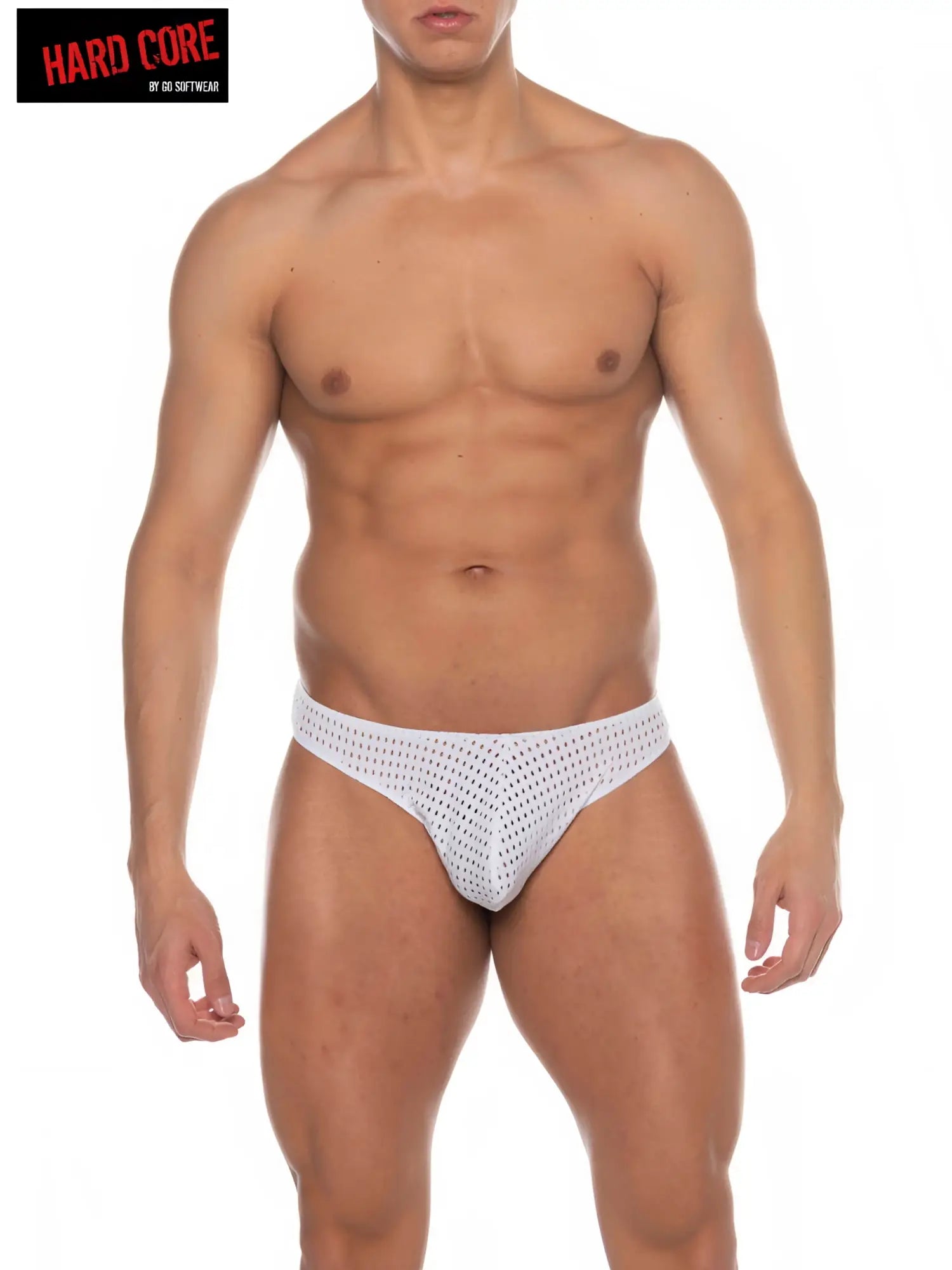 White mesh tryst backless thong briefs with perforated design showing the back side of the product