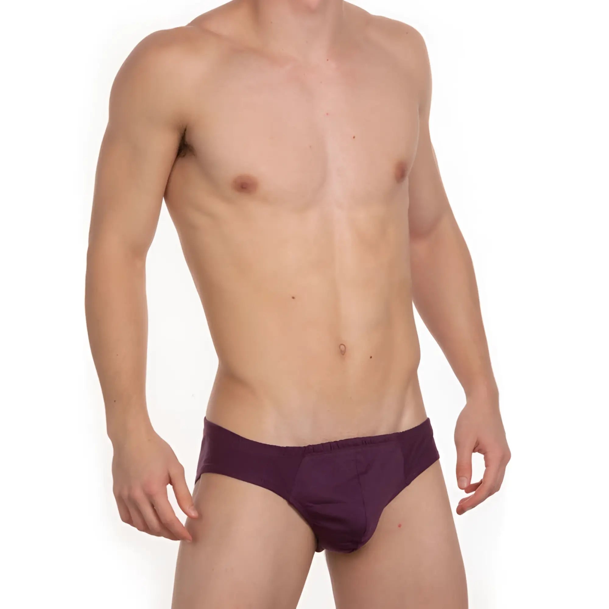 Undergear contour french brief purple smooth fitted design for comfortable everyday wear
