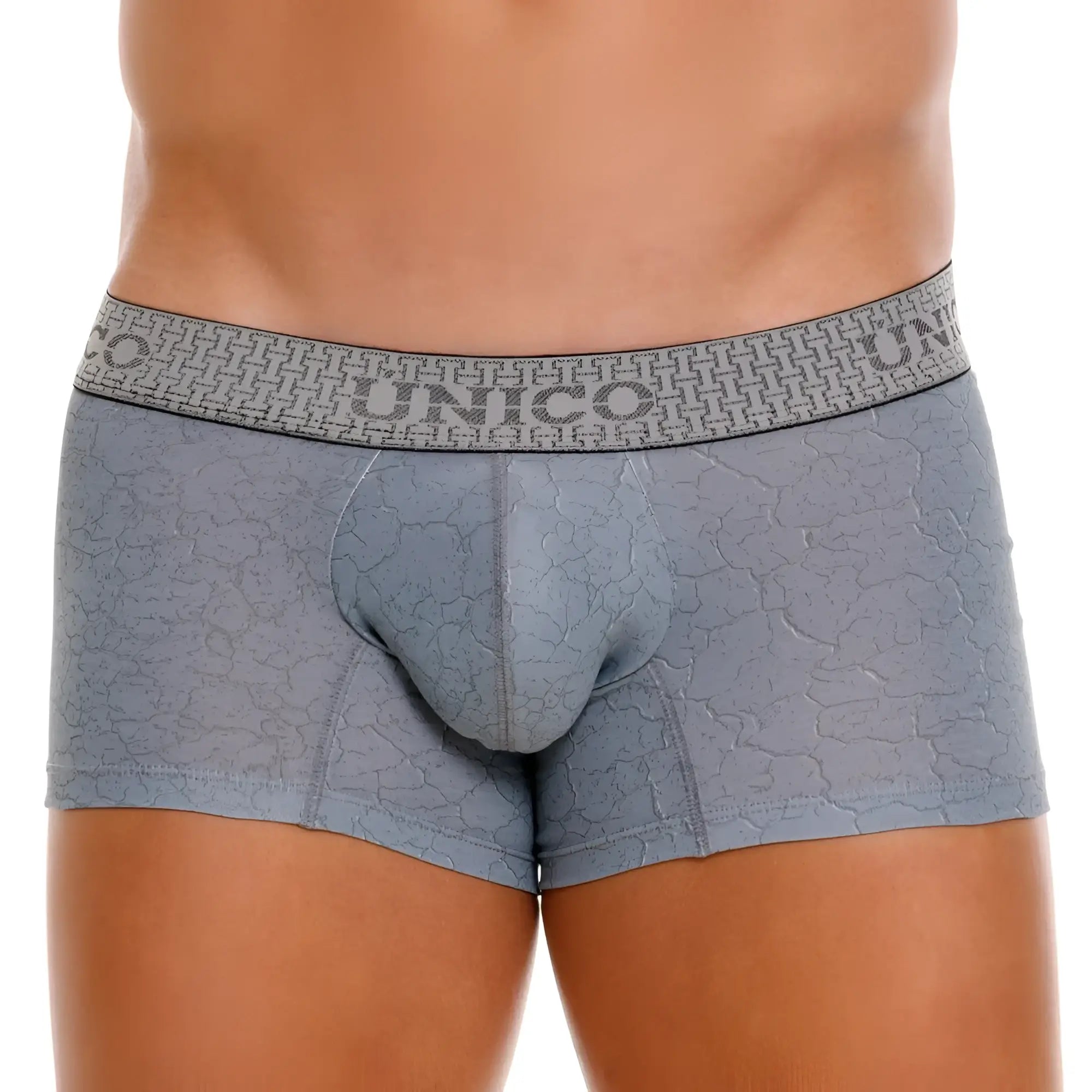 Gray unico boxer briefs with subtle cracked texture pattern and branded waistband in color 59-gray baldio trunks