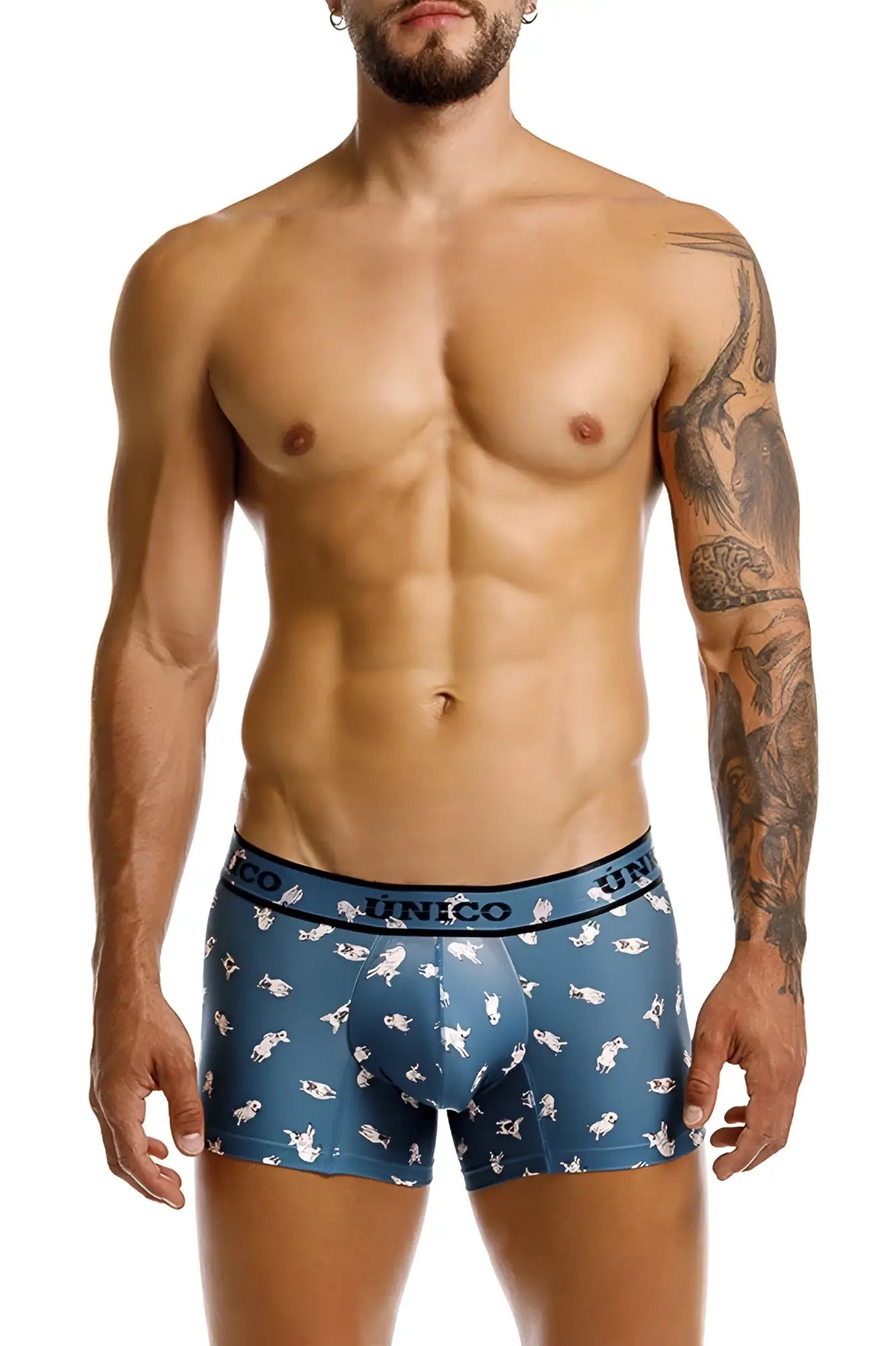 Blue unico boxer briefs with a playful white chihuahua dog pattern in color 43-blue designed for comfort and style