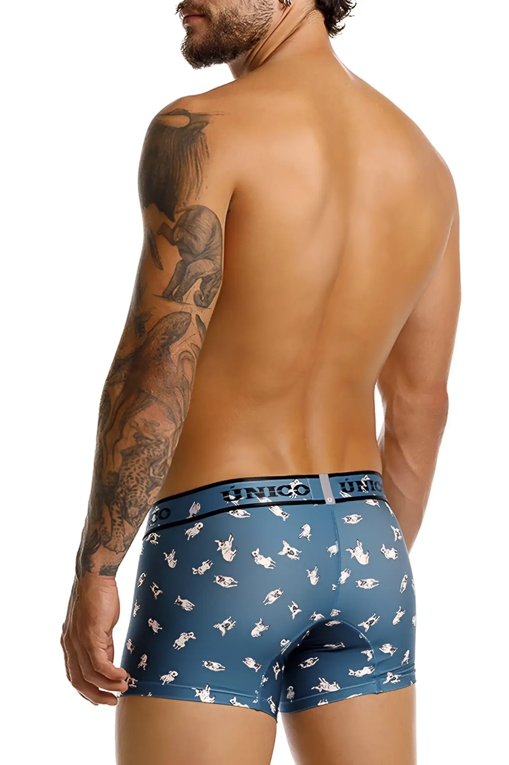 Blue unico boxer briefs with white chihuahua cartoon pattern designed for comfortable everyday wear