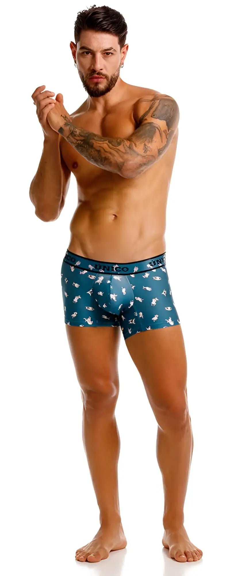 Teal Unico Chihuahua trunks boxer briefs with white bird pattern and Unico logo waistband in color 43-blue