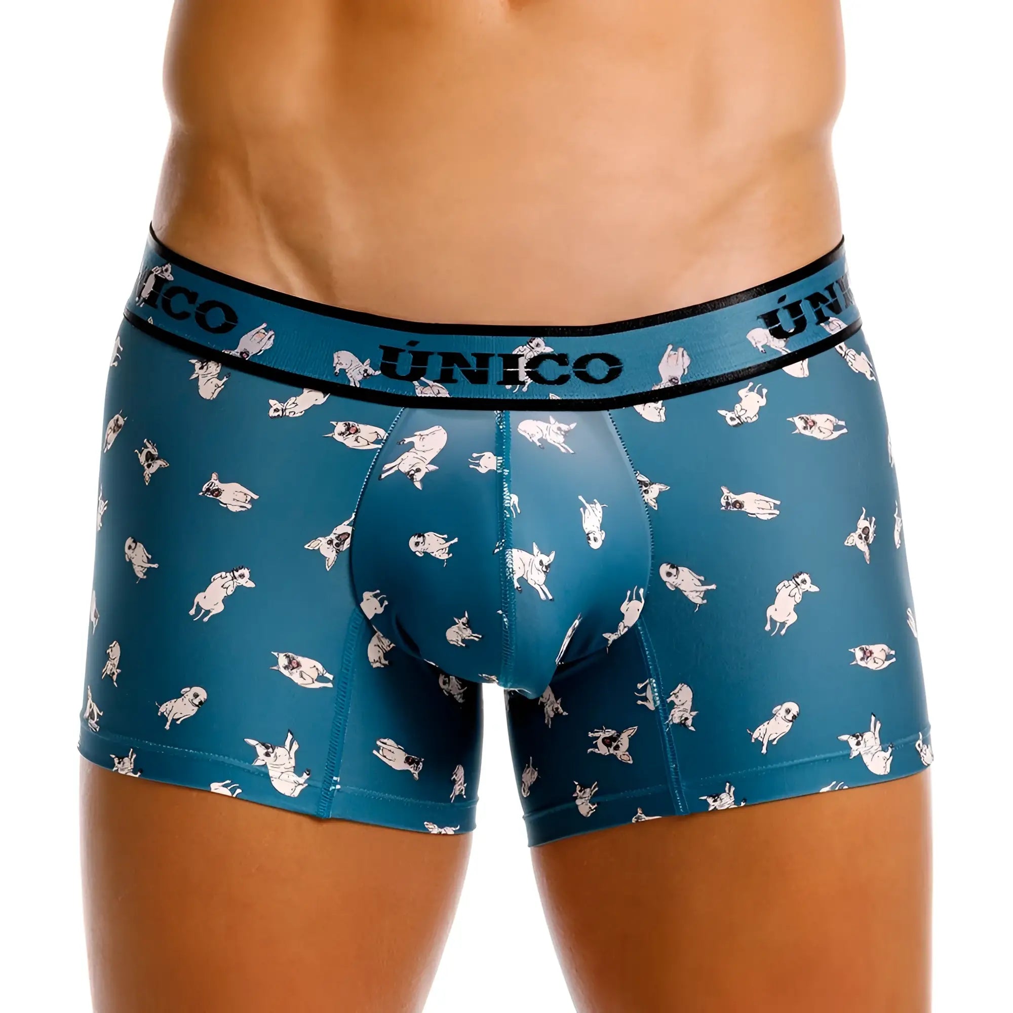 Teal men’s boxer briefs with white pug pattern and único branded waistband in unico 25060100104 chihuahua trunks blue