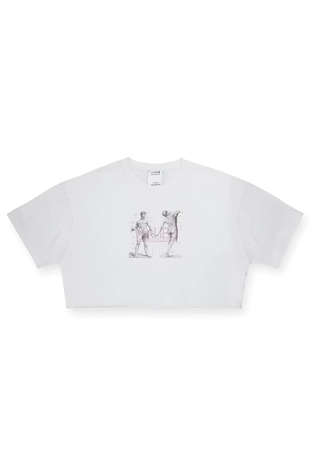 White vintage-washed cotton crop tee with drop-shoulder and black gray sketch-style anatomy graphic on front