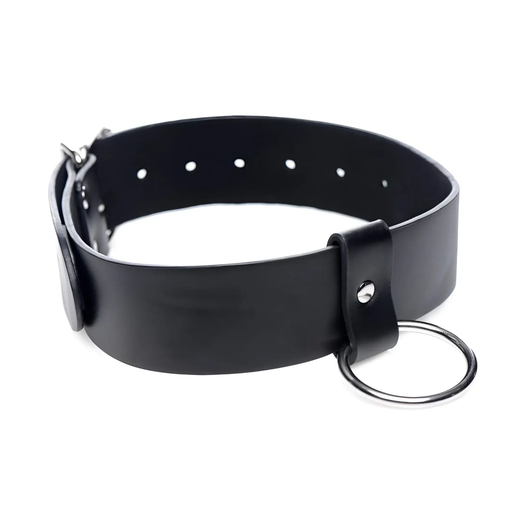 Black leather wide collar with metal o-ring and buckle for adjustable fit