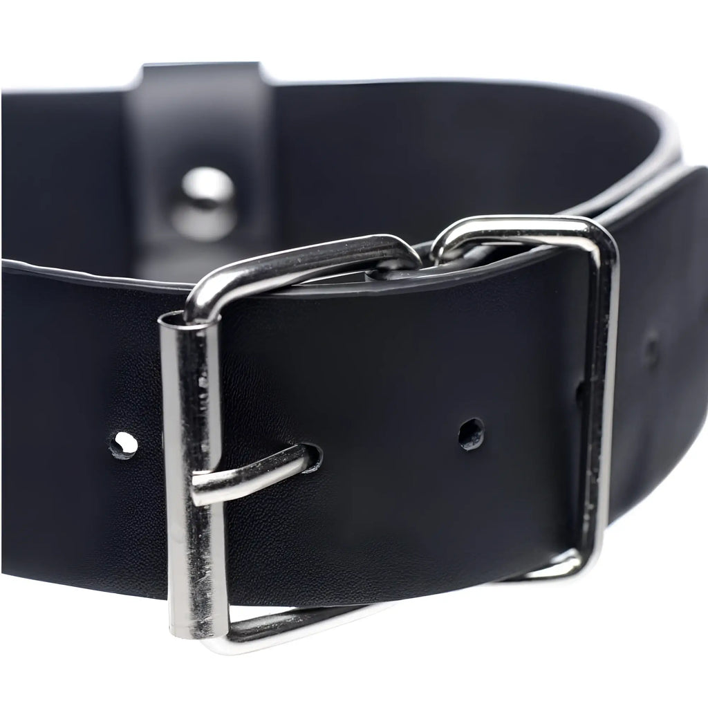 Wide black leather dog collar with o-ring and sturdy silver-toned metal buckle for strong secure fastening