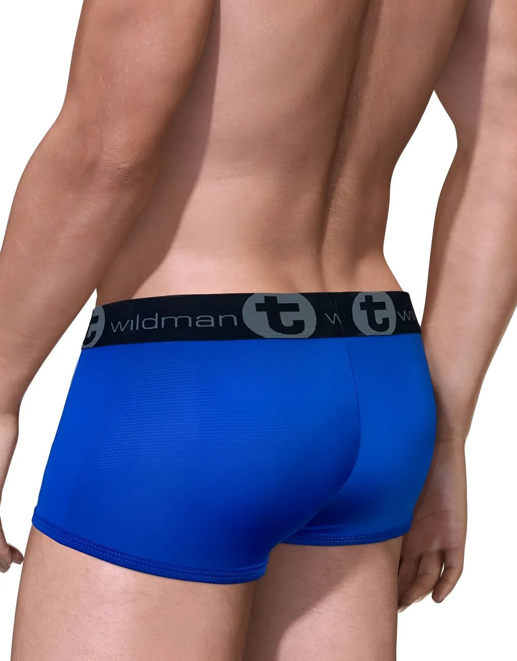 Royal blue mesh boxer briefs with a black waistband featuring a grey Wildman T-logo, seen from behind.