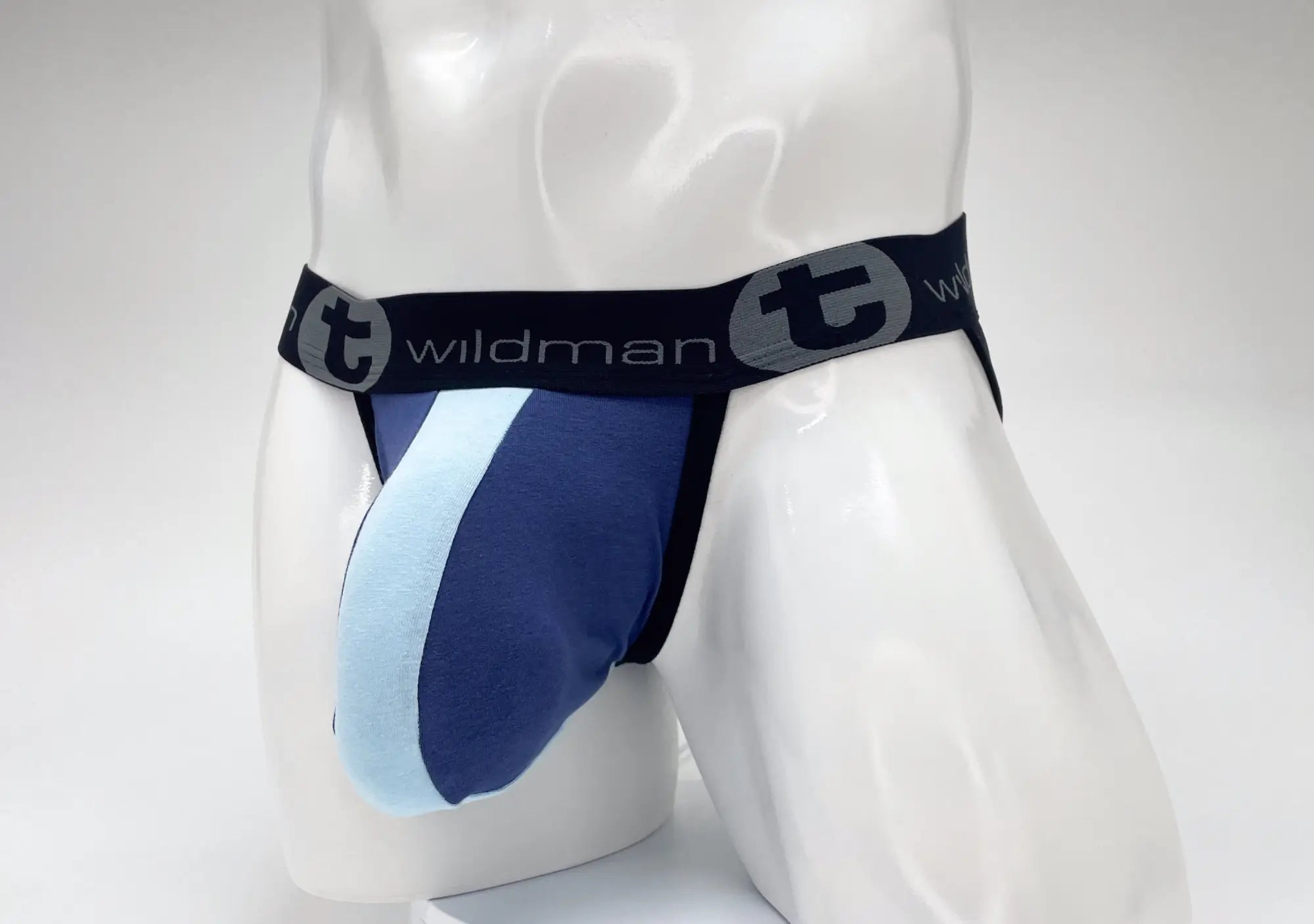WildmanT jockstrap in royal and baby blue with a large front pouch and black logo waistband on a white mannequin.