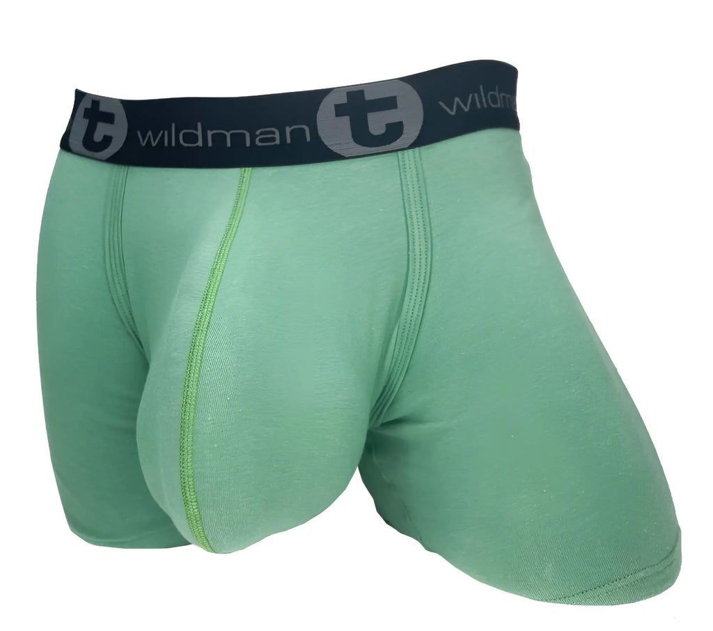 Light green cotton boxer briefs with a contoured pouch and black branded waistband.