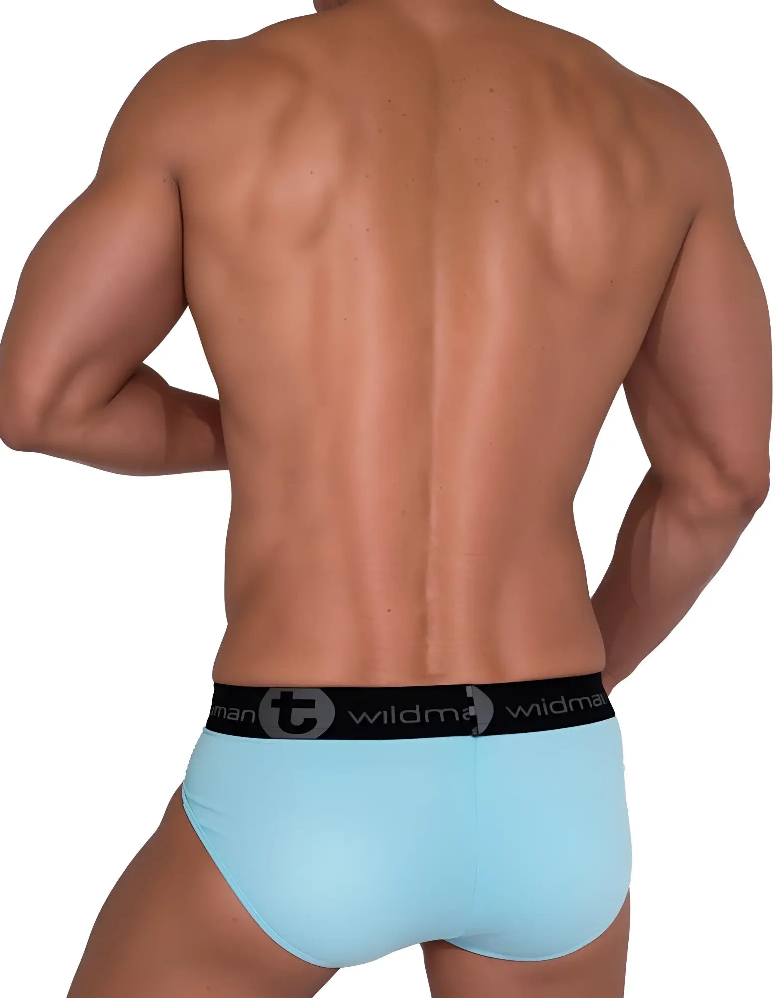 Light blue WildmanT cotton brief with a black elastic waistband featuring the brand logo, viewed from the back.