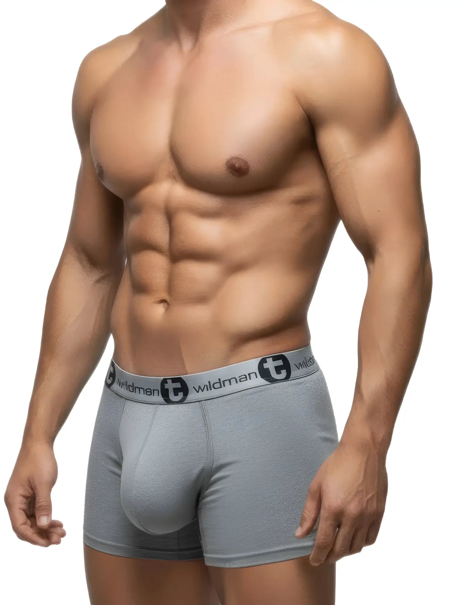 WildmanT gray modal boxer briefs with a prominent pouch and branded elastic waistband worn by a muscular man.
