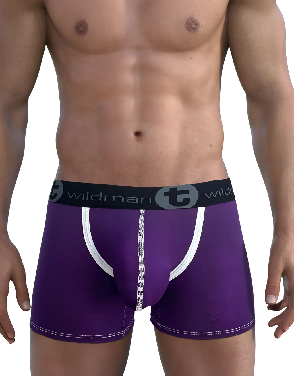 Purple modal boxer briefs with a prominent white-trimmed Big Boy pouch and black logo waistband worn on a male torso.