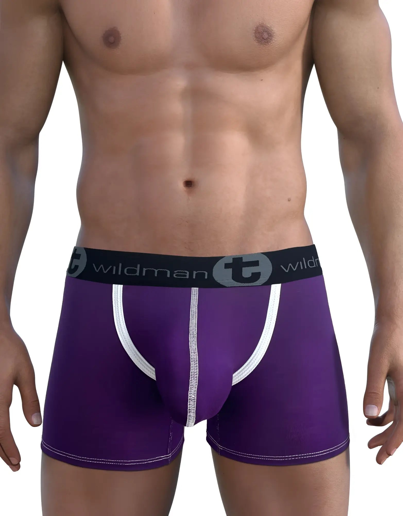 Purple modal boxer briefs with a prominent white-trimmed Big Boy pouch and black logo waistband worn on a male torso.
