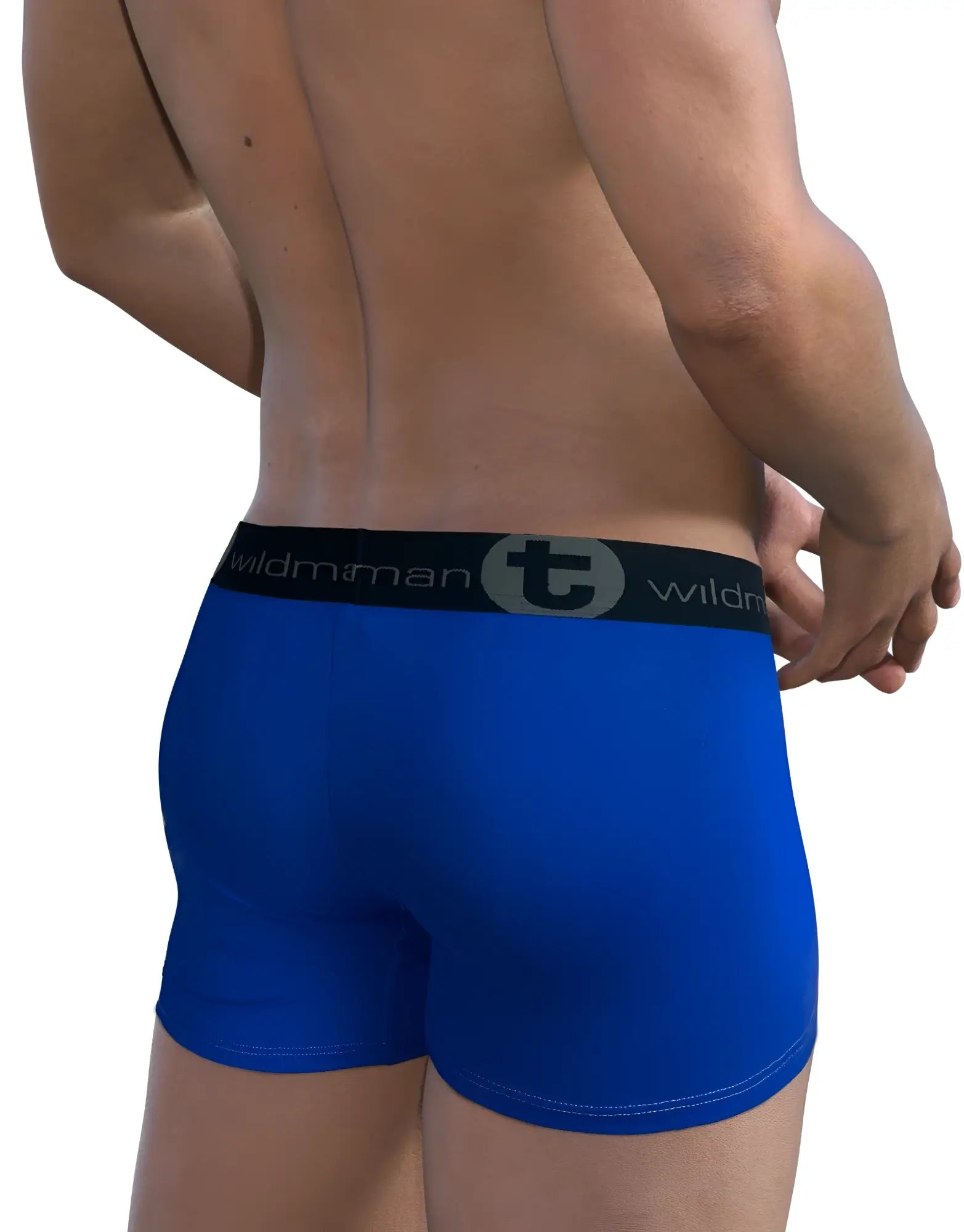 Royal blue WildmanT modal boxer briefs with black logo waistband, shown from behind on a male model.
