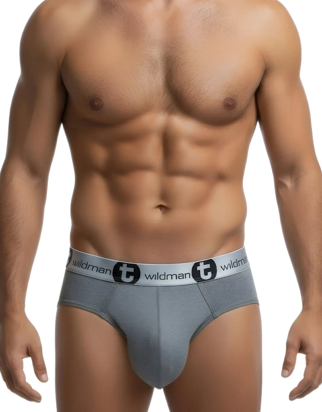 WildmanT silver gray modal big boy pouch brief with a branded silver waistband, worn on a toned male torso.