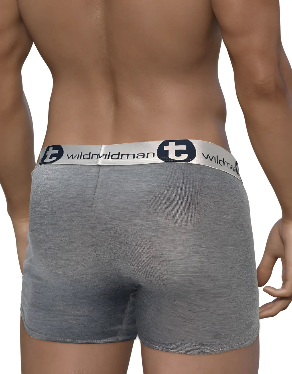 Gray modal boxer briefs with a branded elastic waistband, seen from the back on a muscular male model.