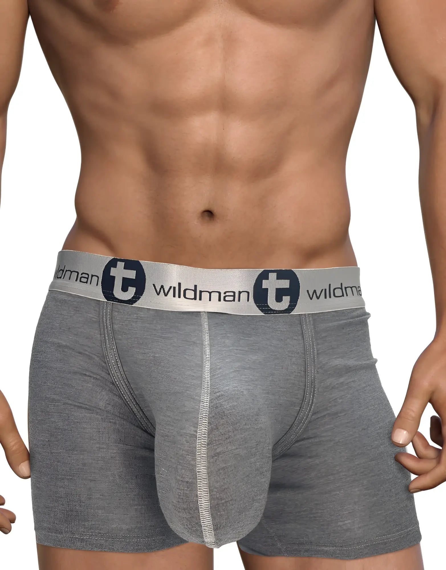 Gray 5-inch inseam modal boxer briefs with a branded "WildmanT" elastic waistband on a muscular male torso.