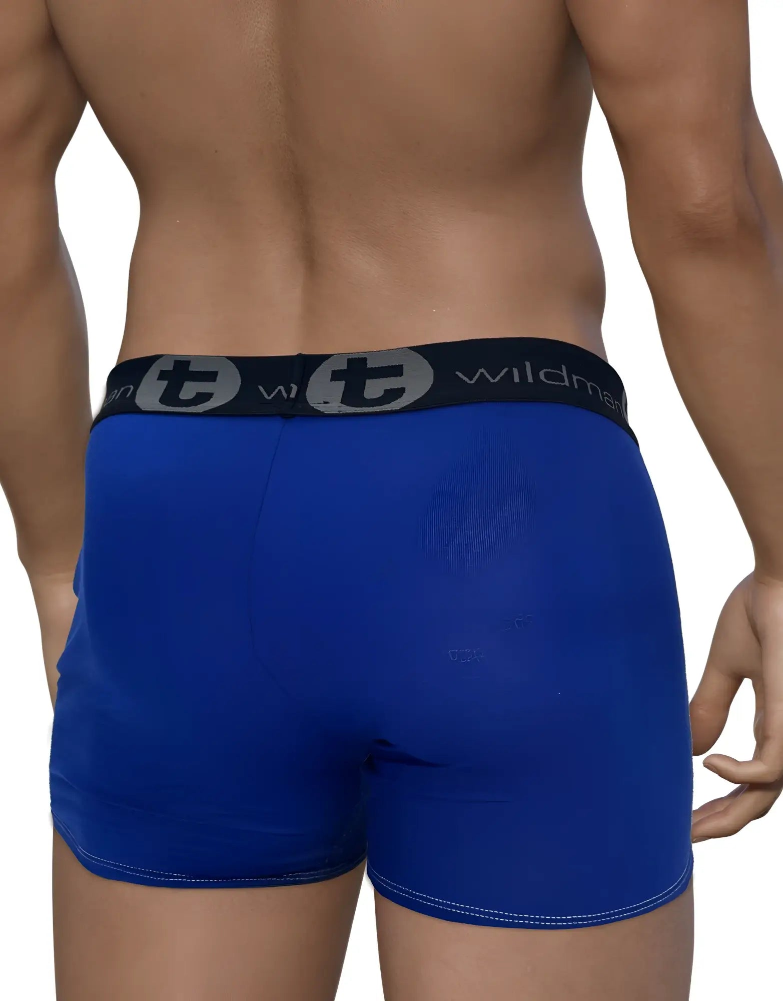 Royal blue modal boxer briefs with a black elastic waistband featuring the WildmanT logo. Rear view on a man.