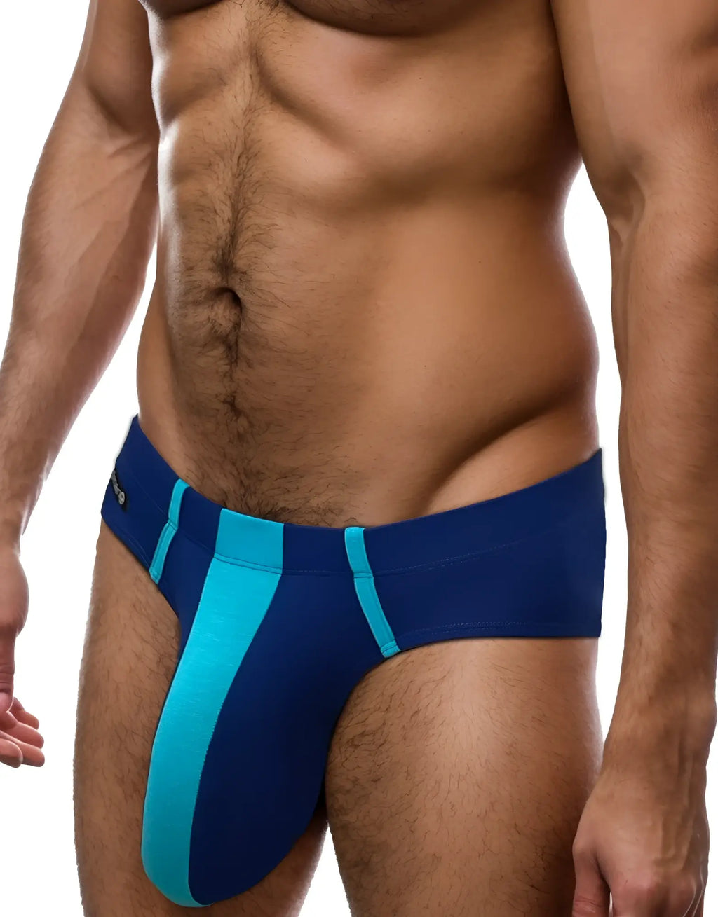 Royal and baby blue modal brief with a central color-blocked pouch and accent piping, worn by a muscular man.
