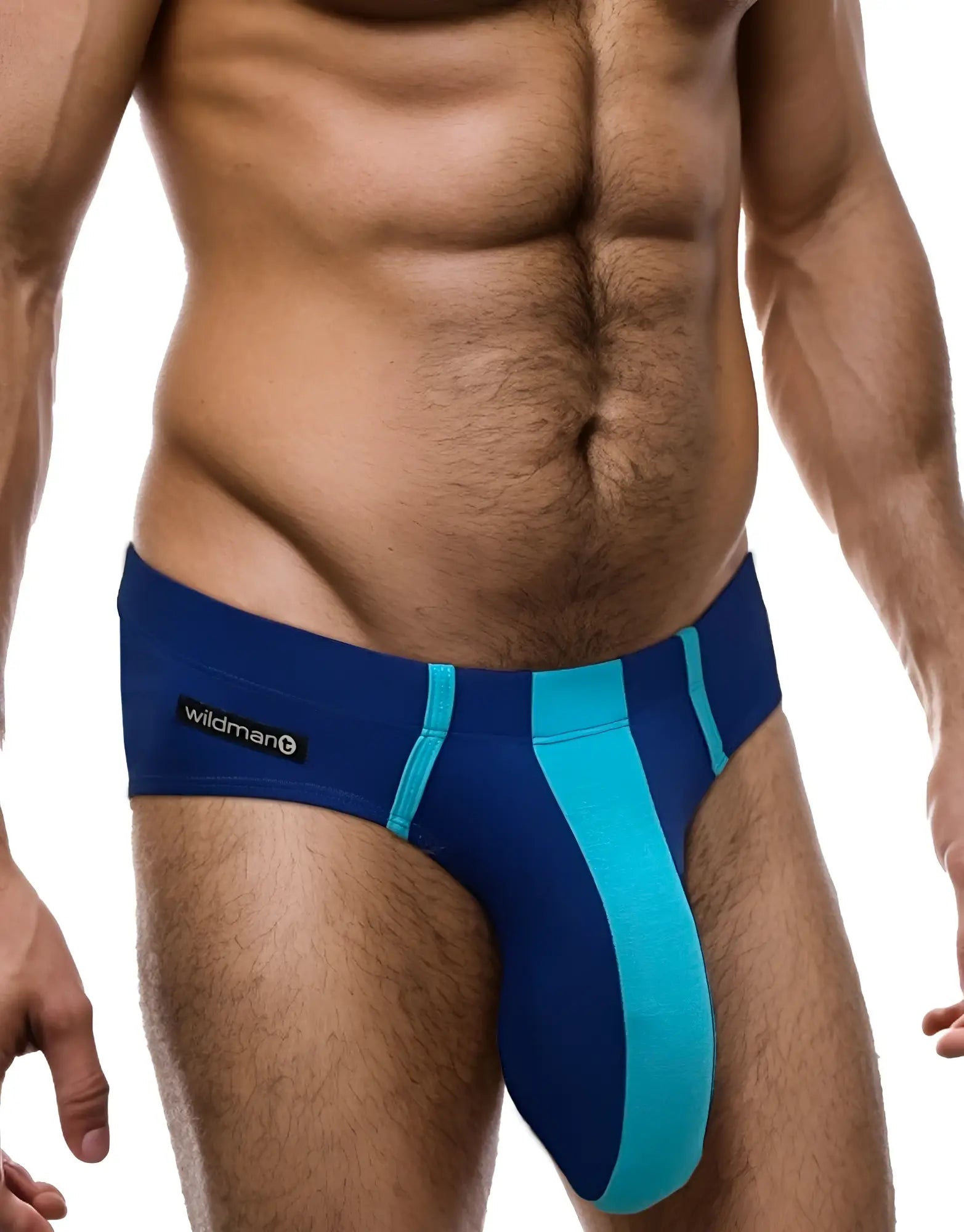 Royal and baby blue modal brief with a central color-blocked pouch and a WildmanT logo tag on the side.