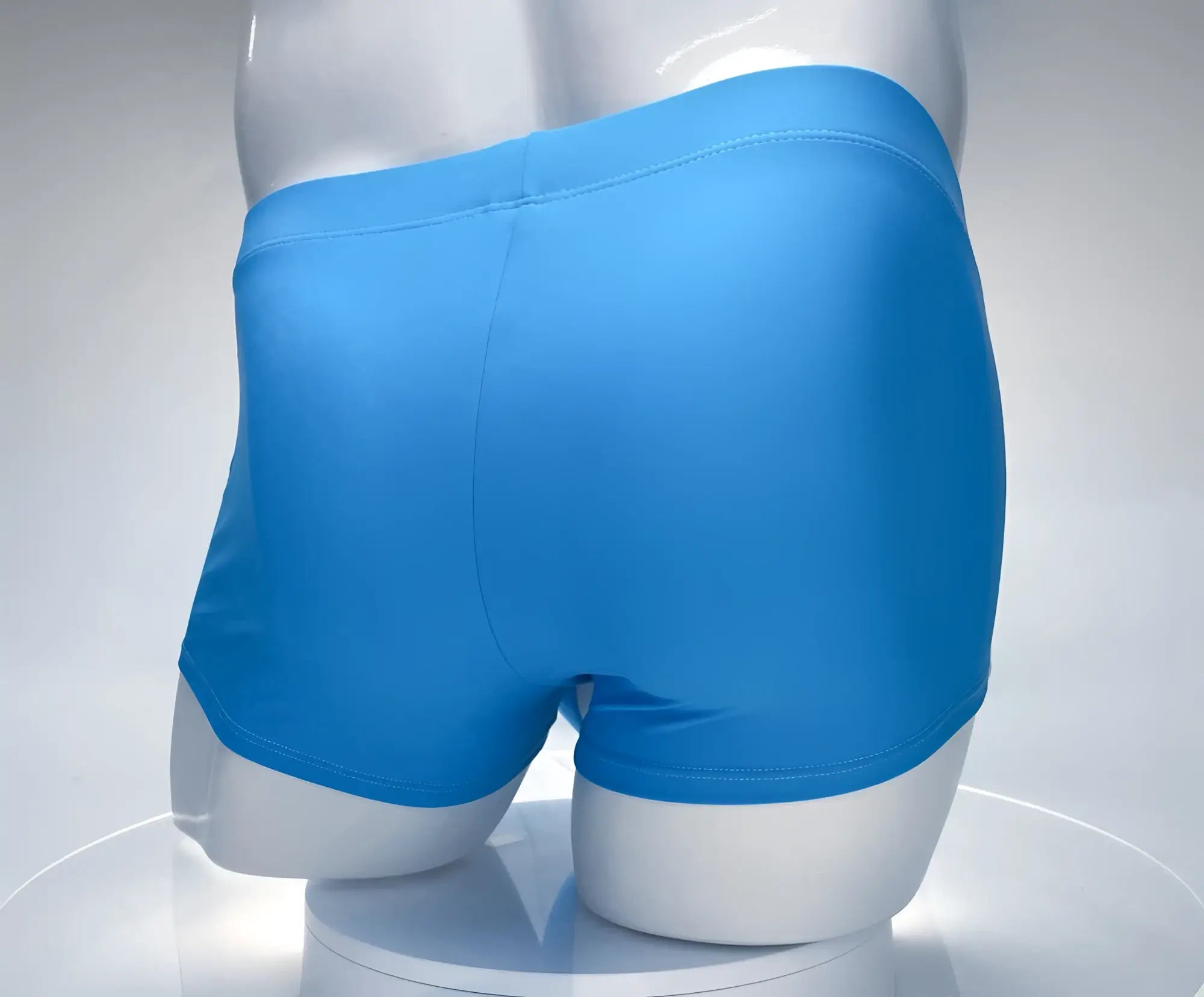 WildmanT teal square-cut swim trunks on a white mannequin torso, showing the back view.