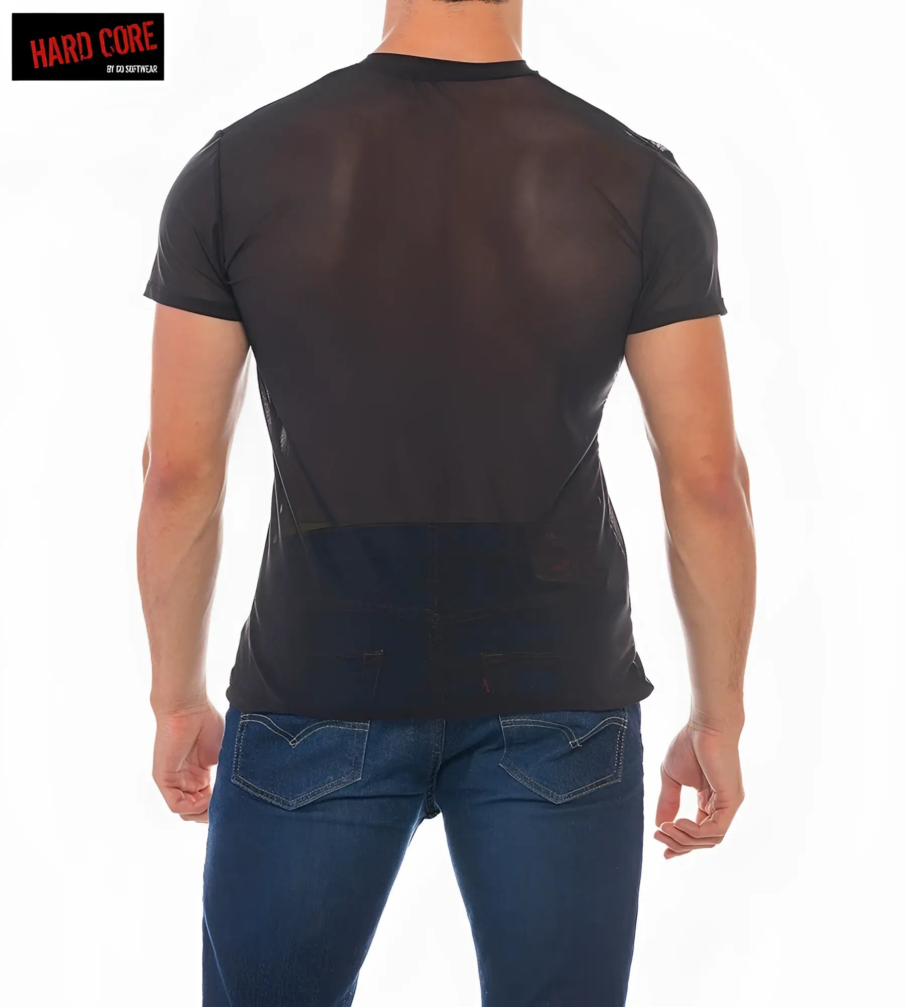 Black sheer mesh x mini mesh v-tee with solid black lower panel and short sleeves for stylish layering