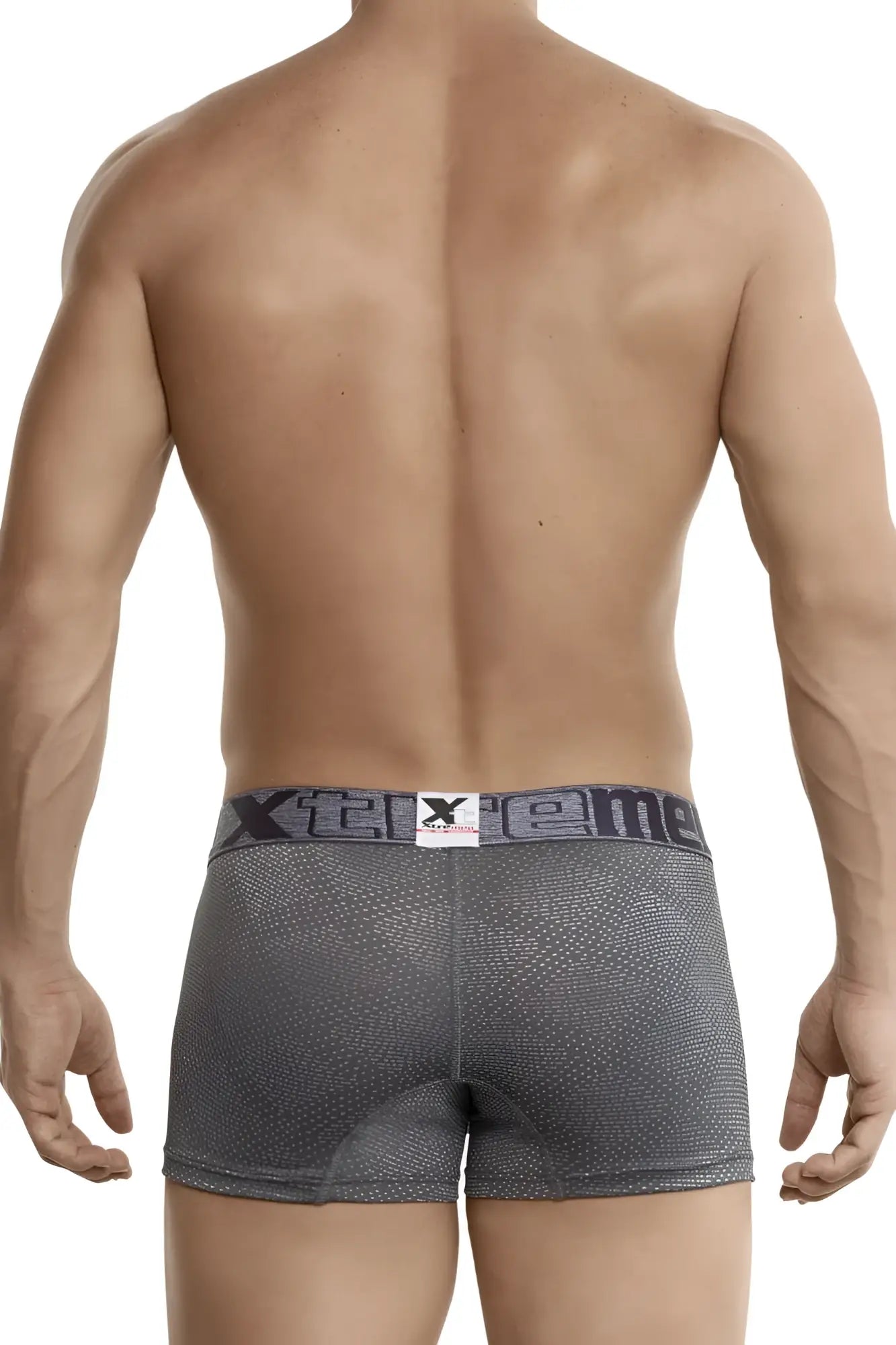 Gray textured jacquard stripes boxer briefs with a dark gray xtreme waistband for comfortable everyday wear