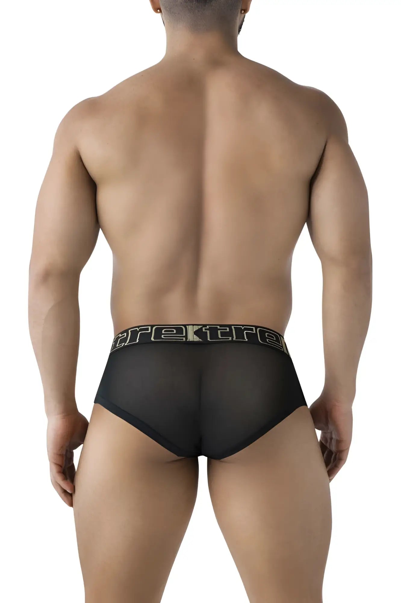 Black sheer mesh Xtremen 91236 microfiber briefs with a black elastic waistband featuring Trek logo in silver lettering