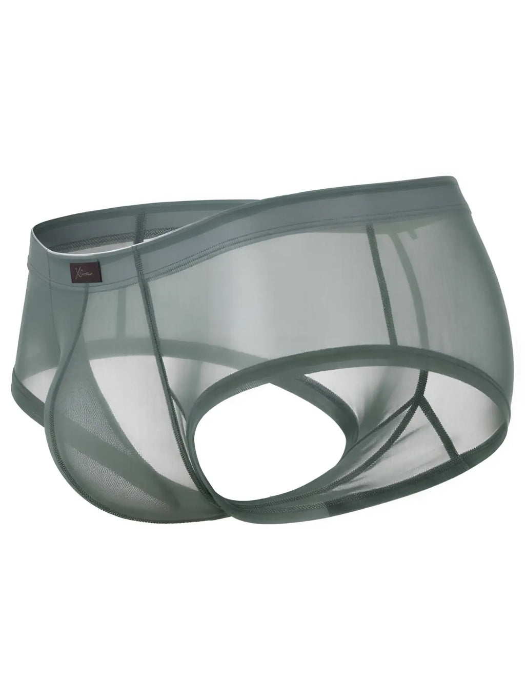 Xtremen sheer sage green men's briefs with a supportive pouch and branded label, shown from a side-rear angle.