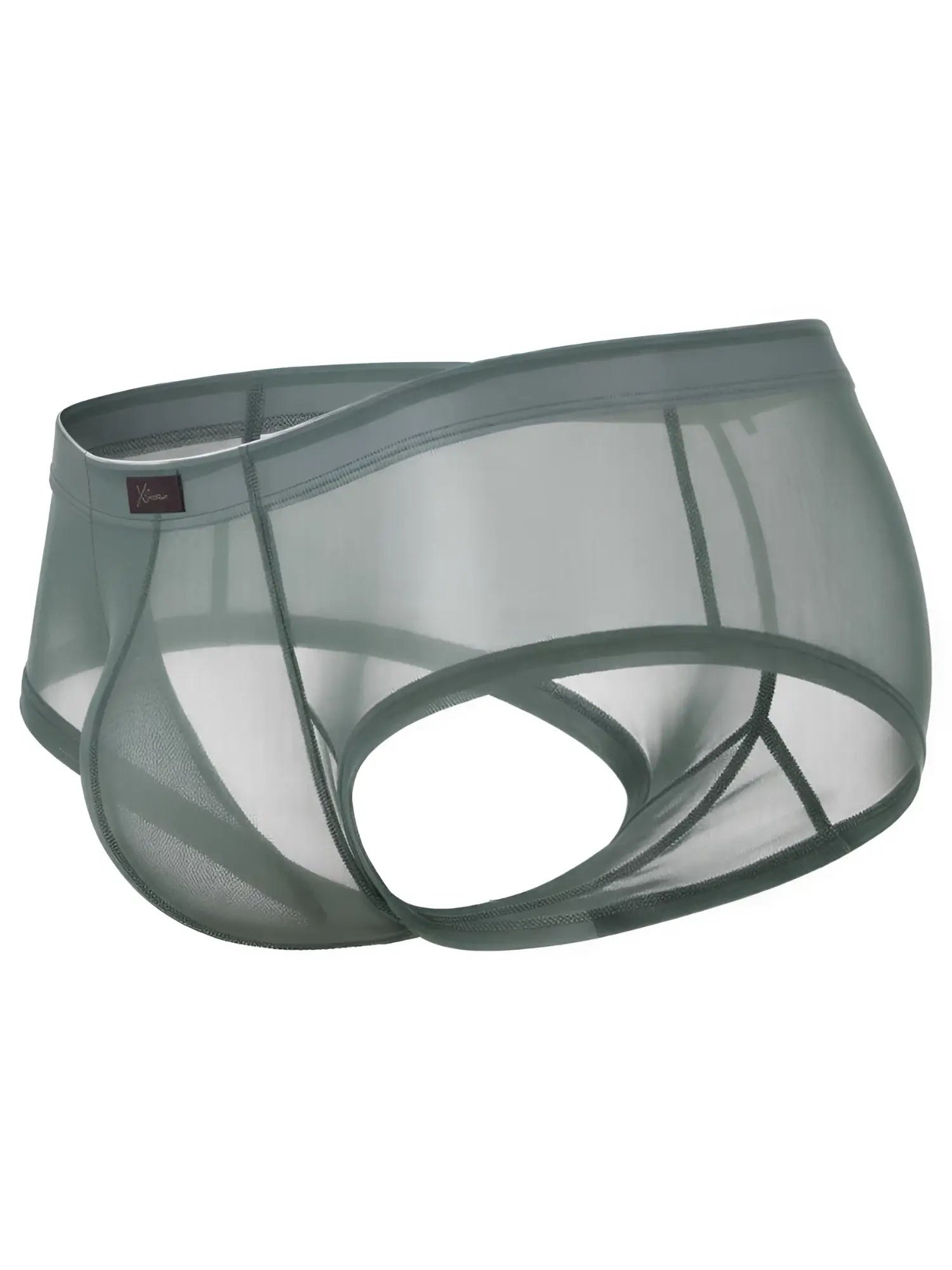 Xtremen sheer sage green men's briefs with a supportive pouch and branded label, shown from a side-rear angle.
