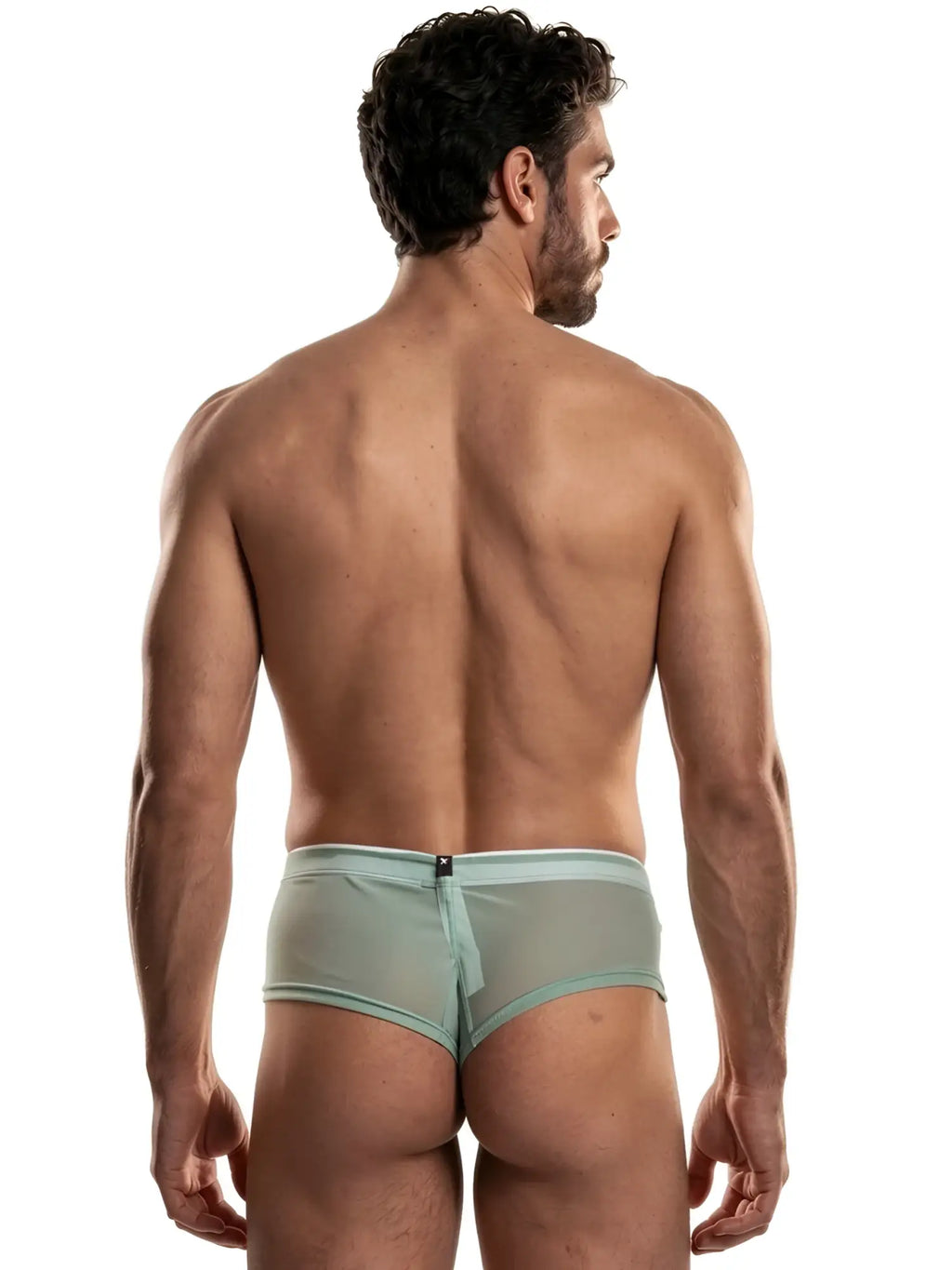 Xtremen mint green sheer briefs seen from the back on a muscular man.