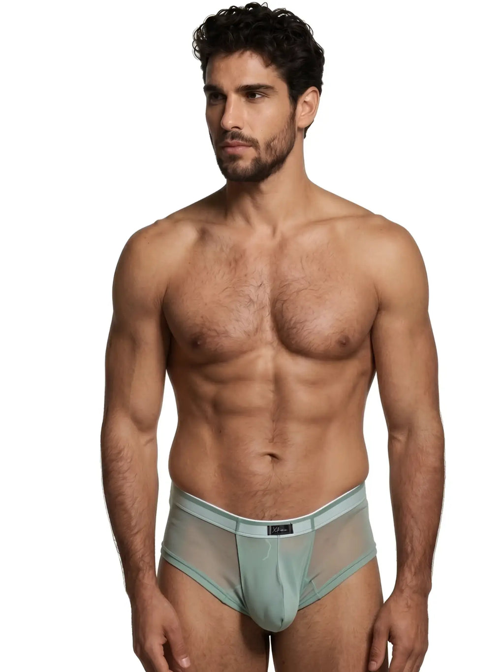 Model wearing sheer, sage green Xtremen briefs with a center brand logo on the waistband.
