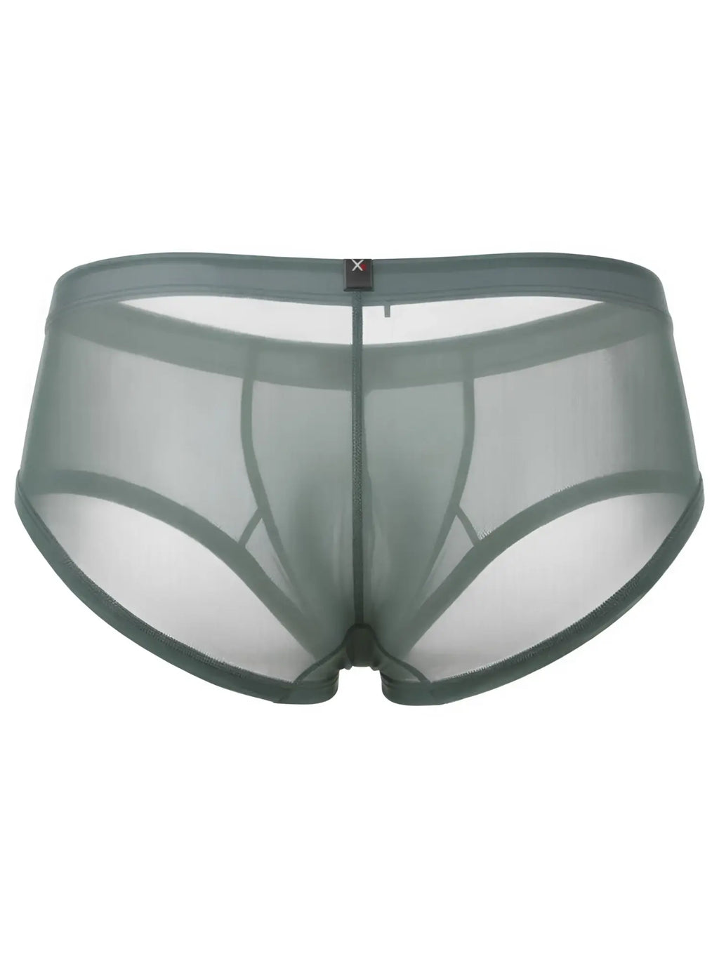 Xtremen men's briefs in sheer sage green mesh fabric with a centered logo waistband.