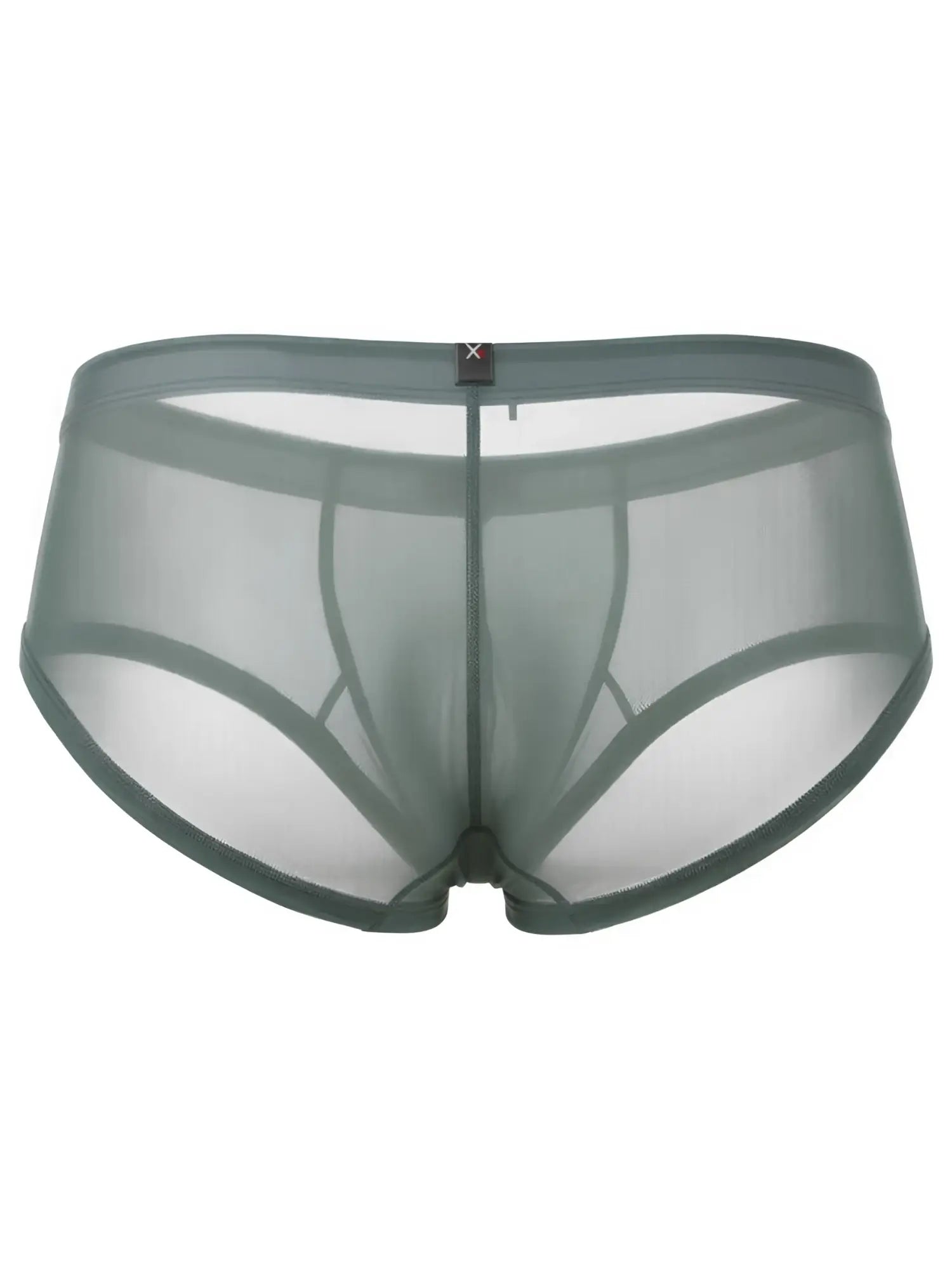 Xtremen men's briefs in sheer sage green mesh fabric with a centered logo waistband.