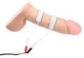 Zeus Electrosex cock bands: two white conductive straps attached to a phallic-shaped model with wired connectors.
