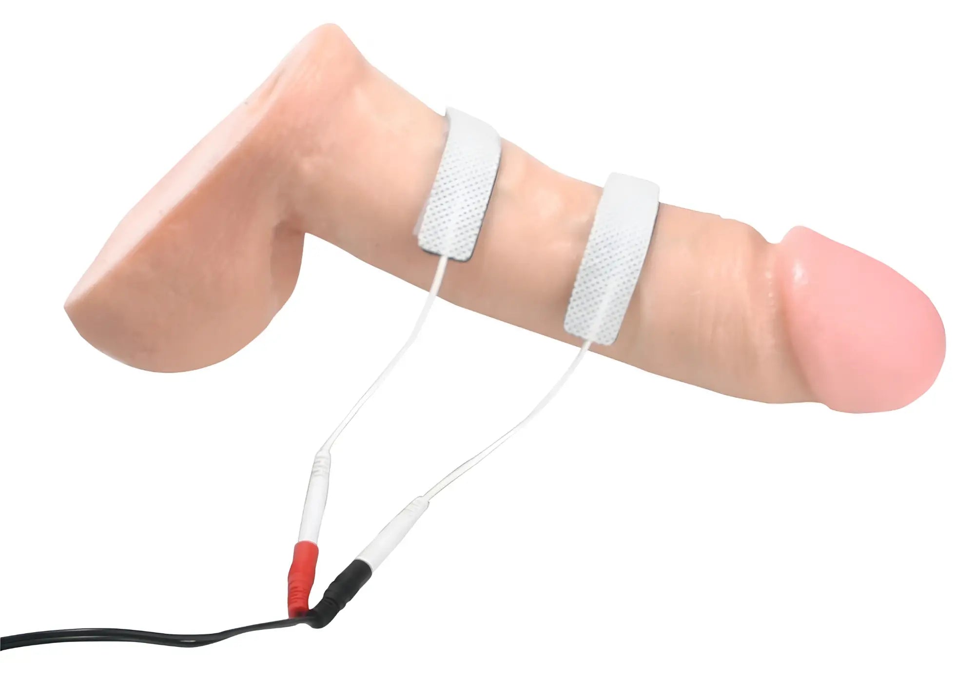 Zeus Electrosex cock bands: two white conductive straps attached to a phallic-shaped model with wired connectors.