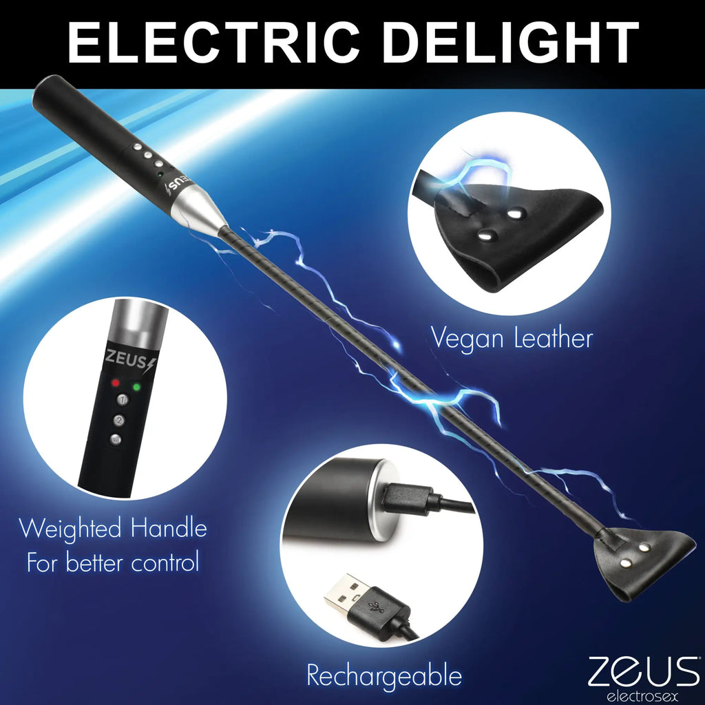 Zeus Electrosex E-stim Crop with black vegan leather tip, weighted handle, control buttons, and charging cable.