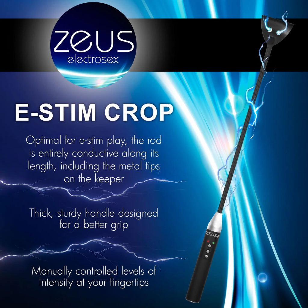 Zeus Electrosex E-stim Crop: A sleek black and silver conductive crop with a grip handle and digital intensity controls.